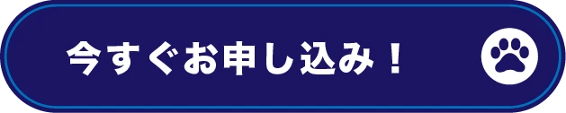 今すぐお申し込み！