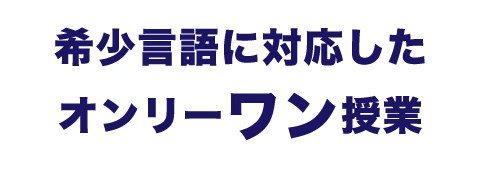 02.希少言語に対応したオンリーワン授業