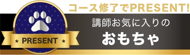 コース修了でPRESENT!講師お気に入りのおもちゃ